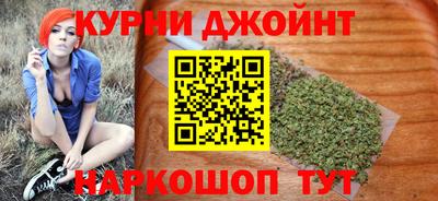гашик Будённовск