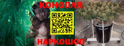 гашик Будённовск