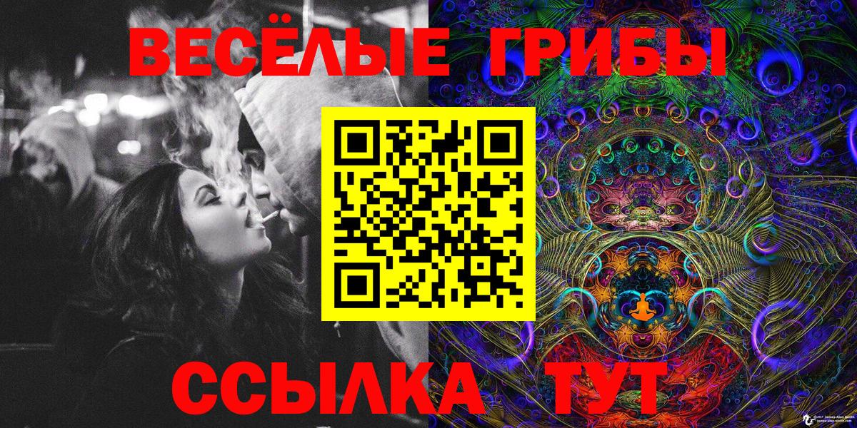 Псилоцибиновые грибы прущие грибы Москва